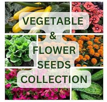 Nojus - Blumen- und Gemüsesamenmischung – 50 Sorten, verpackt in luftdichten Beuteln - Garten Samen Sortenbox - 50 Packen Gemüsesamen, Blumensamen - Verschieden Pflanzensamen Starter Kit
