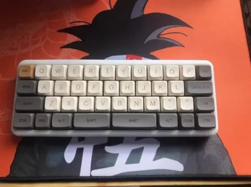 IVLAZLRG RS40 HOT Swappbares mechanisches Tastatur -DIY -Kit mit transparenter Acryl -Hülle programmierbarer RGB -LED und Plug -and -Play -PCB -Taste(Complete Keyboard D)