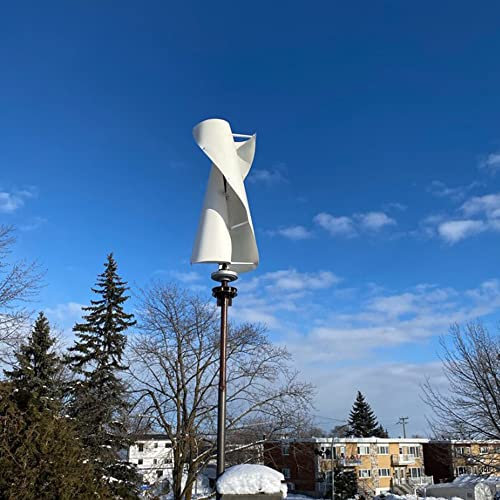 600W Vertikale Windkraftanlage 12V 24V 48V Windgenerator Heimgebrauch Windräder 2 Klinge Windturbine Mit MPPT Laderegler (24V mit Controller)