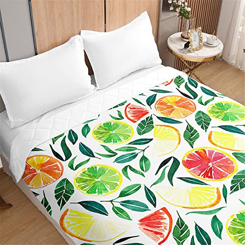 Odot Quilted Bedspread Throw Soft Microfiber Lightweight Coverlet Quilt, 3D Plants Quilted Coverlets Comforter Sofa Bed Cover Bedding for Bedroom Decor (180x220cm,Orange fruit)