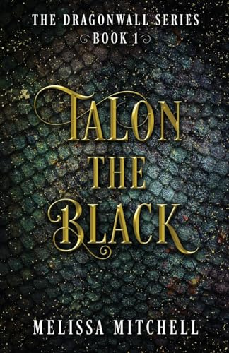 Talon the Black: A Slow Burn Fantasy Series (Dragonwall, Band 1)