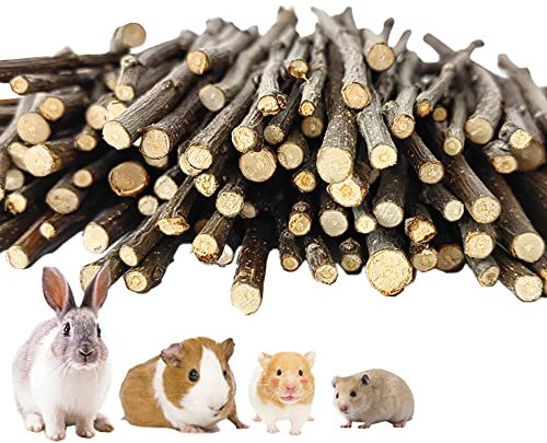Ifan 500 g Apfelbaum-Sticks, natürliche Apfelbaumzweige, kleine Tiere, Backenzahn-Kauspielzeug, 15 cm Zähne-Schleifstab für Chinchilla, Meerschweinchen, Kaninchen, Eichhörnchen, Hamster, Hase