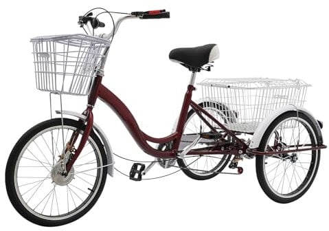 Akuoyiexemye 20 Zoll Dreirad für Erwachsene 6 Gang Cruise Bike mit 2 Körben, 3-Rad-Fahrräder Höhenverstellbar Cityräder Tragfähigkeit 100kg (Rot)