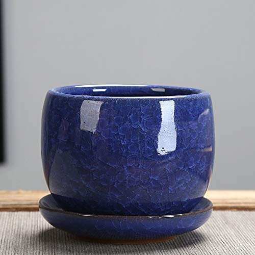 FCVCSZDAS Jelly Fleshy Plants Ceramic Pot Ice Cracked Glazed Flower Pot Succulent Plant Pot Cactus Bonsai Pot Flower Pot Container Planter G
