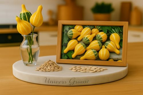 10 Graines de Courge ornementale – Poire Bicolore - NON COMESTIBLE - Cucurbita pepo - Jardin - Décoratif - 415