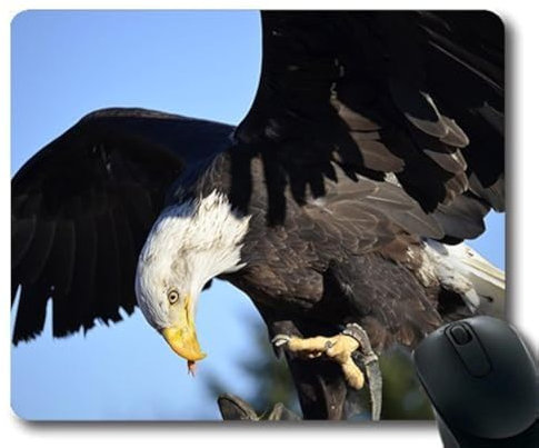 (genaue - Kante - Mousepad) Adler Act Raptor Gaming - Maus Vogel Beute Porträt der Mac - Oder der Computer Mouse Pad.