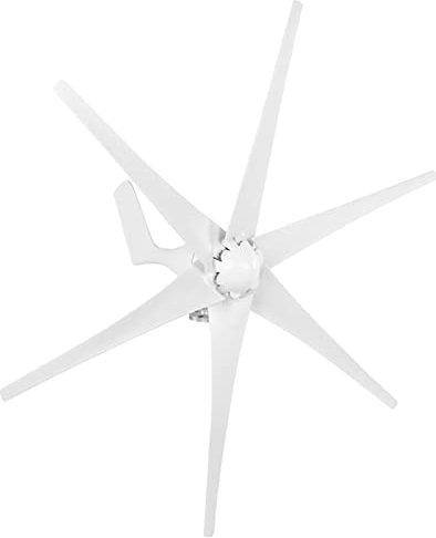 Professionelles Windturbinen-Kit, 800 W 6-Blatt-Windgenerator, 2,0 m/s Windmühle mit niedriger Startwindgeschwindigkeit für Heimwerker im Freien(48V-Weiß) Dynamo