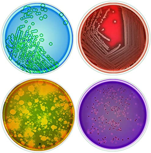Medinc Set Of 4 Science Petri Dish 10cm Glass Coasters Can Be Used For Chemistry Mug Chemical Flask Science Lab Beaker Nerdy Gift For A Science Geek, Chemist, Scientist Or Chemistry Teacher
