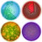 Medinc Set Of 4 Science Petri Dish 10cm Glass Coasters Can Be Used For Chemistry Mug Chemical Flask Science Lab Beaker Nerdy Gift For A Science Geek, Chemist, Scientist Or Chemistry Teacher