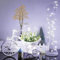 ANGMLN 2 Pack Fairy String Lights Battery Operated 3M 30LED Copper Wire Firefly Small led Lights Starry String Lights DIY Wedding Party Jars Home Garden Indoor Outdoor Decor (Cool White, 2 Pack)