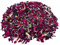 TooGet Hochzeit Konfetti Getrocknete Blütenblätter, 100% Natürliche Konfetti Blütenblätter Biologisch Abbaubar Petal Konfetti für Hochzeit und Party Dekoration - 115g (Rote Rosen Blütenblätter)
