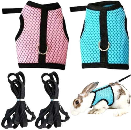 Kaninchen Leine,Kaninchen Geschirr mit Leine,Verstellbare Katzengeschirr Kaninchen,Zwergkaninchen Katzen Geschirr,Geschirr Hasenleine,Mesh Kaninchen Geschirr,Haustier Hasen Geschirr