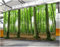 Vlies Fototapete Wald 3D Effekt 400x280 Baum Grün Foto Tapete Schlafzimmer Wohnzimmer Moderne XXL Wandtapete Groß Vliestapete Fototapeten Poster Wand Dekoration a.2926