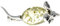 925 Sterling Silver & Genuine Honey Baltic Amber Jewellery - Mouse Brooch 4107L