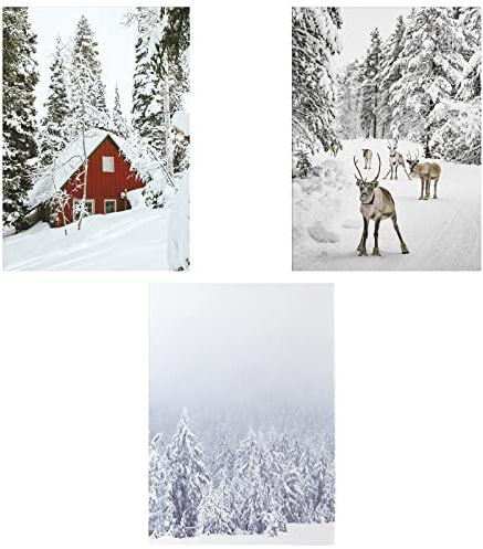 TROYSINC 3 Stück Premium Poster Set,Modern Winter-Schnee-Szene,Ohne Rahmen Print Kunstposter,Deko für Wohnzimmer Schlafzimmer. (Style A,40 x 50 cm)