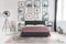 EVERGREENWEB - Letto Matrimoniale con Moderno Box Contenitore e Rete a Doghe in Legno 160x195 cm Elegante Testiera con Doppi Cuscini Tessuto Grigio Imbottito SFODERABILE Ideale per Camera da Letto
