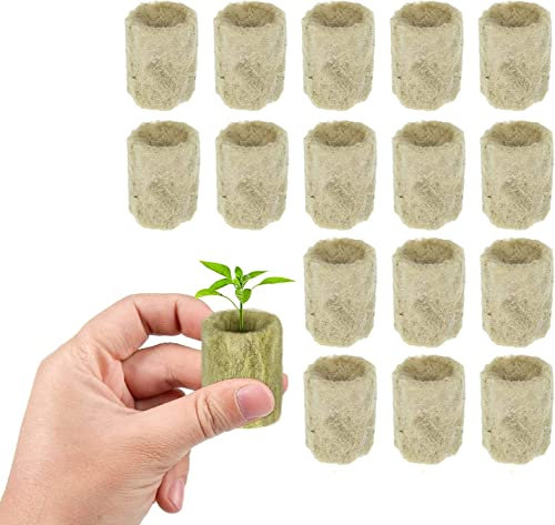 LATRAT 50 Pcs Hydroponic Sämling Gemüse Steinwolle Plugs Zylindrische Blöcke für Hydrokultur Blumen Pflanzen Zimmerpflanzen Garten (2*2.7cm)