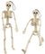 Morofme Halloween-Skelett, 2 bewegliche Ganzkörper-Halloween-Skelette mit beweglichen Gelenken für Spukhaus-Requisiten, Halloween-Party-Dekorationen