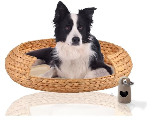 Rohrschneider® runder Hundekorb aus geflochtener Wasserhyazinthe| herausnehmbares, waschbares Kissen| gemütliches Hundesofa für kleine,mittelgroße u. große Hunde| Gr. XXL (L 83 x B 83 x H 20 cm)