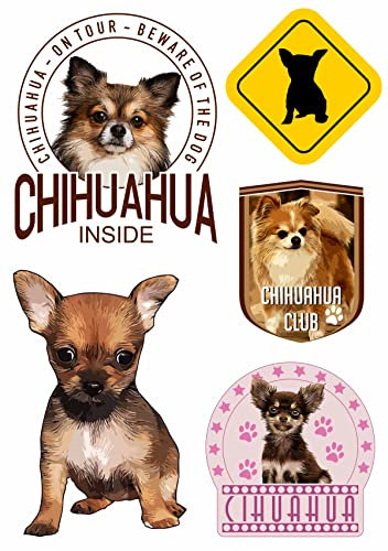 Daged Chihuahua Hund Hundeliebhaber Aufkleber Set Karte 5 Stück - PKW Auto Motorrad Biker ablösbarer Vinyl- HU