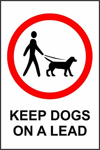 Indigos UG – Autocollant – Sécurité – avertissement – votre chien en laisse de sécurité 300 mm x 200 mm – Autocollant pour bureau, Société, à l'école, à l'hôtel