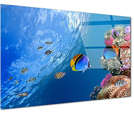 DECLINA Tableau verre acrylique décoratif Le monde sous marin, Tableau plexi, impression sur verre Acrylique, Tableau mural, Décoration moderne, 120x80 cm