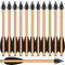 HUNTSPM 6,3 Aluminium Pistole Armbrust Bolzen Pfeile,Mini Armbrustbolzen Armbrustpfeile mit Jagdspitzen Jagdpfeile für 50-80 lbs Pistolenarmbrust Präzisions Zielscheibe Bogenschießen (6stk Gold)