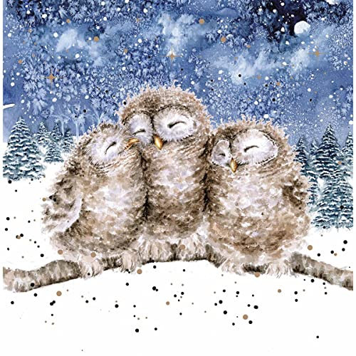 Wrendale Designs by Hannah Dale - „Three Wise Men“ - Weihnachtskarten-Schachtelset - 8 Stück