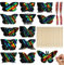 48 Stück Kratzbilder Schmetterling, 12 Styles Schmetterlinge Kratzbilder für Kinder Erwachsene, Regenbogen Scratch Painting, DIY kratzpapier für Schmetterlinge Basteln, Party Mitgebsel