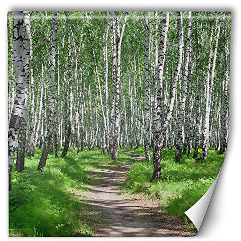 Feeby Poster mural xxl forêt 150x150 cm vert Papier intissé Colle fournie