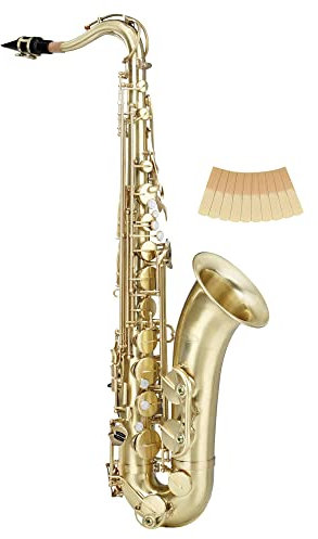 Classic Cantabile Winds TS-450 Brushed Bb Tenorsaxophon - Bb-Stimmung - Hoch-Fis-Klappe - Spar-Set inkl. 10 Stück Saxophon-Blätter