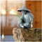 livelyfish Mini Fisherman Statue Old Man Statues Fairy Garden Figurine Sandstone Ornaments Asian Japanese Zen Decoration for Aquarium Fish Tank Pot Decor, C
