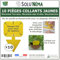 10 Pièges Collants Jaunes pour Mouches du Terreau, Mouches des Fruits, Moucherons, Design XXL - SoluNéma