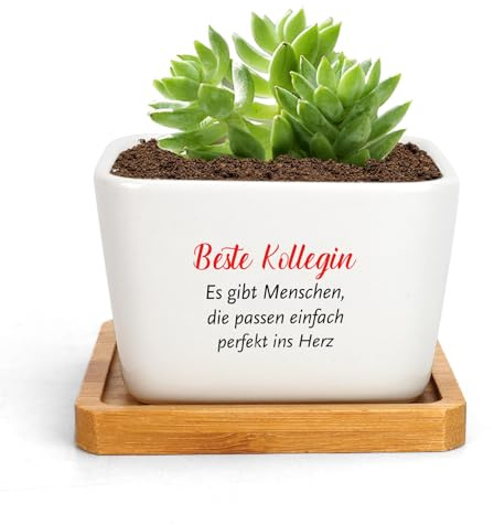 RRIGETEN Blumentopf Weiß 8 cm Keramik Innen- und Außenbereich Sukkulenten Kakteen Pflanztopf ohne Pflanze Geschenk Kollegin Weihnachten Abschiedsgeschenk