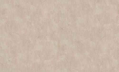 BRICOFLOR Uni Tapete in Betonoptik beige | Schlichte Vliestapete mit Beton Muster in Naturfarben | Vlies Betontapete ideal für Küche und Wohnzimmer