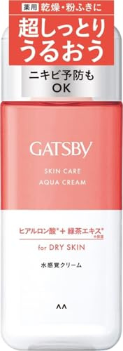 Gatsby Medicated Skin Care Aqua Cream, Men's All-in-One Moisturizing Emulsion - 170ml