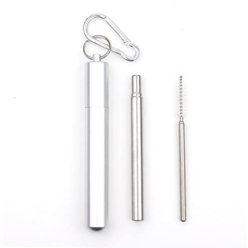 Sparrow Angel Pajitas Acero Inoxidable Paja Bebida telescópica de Acero Inoxidable portátil de 10sset para Viajar Paja metálica Plegable Reutilizable con Estuche y Cepillo (Color : Silver Yuan)