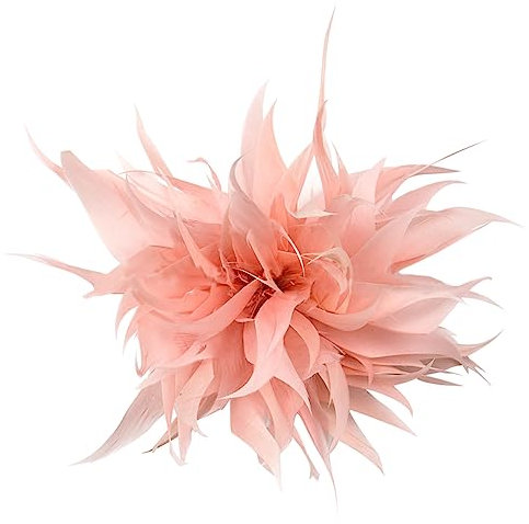 URFEDA Plume Rétro Broche Plume Broches Broche Femme Élégante Plume Vintage Broches Broche Fleur Chapeau Pince À Cheveux Broche Broche pour Robe Vêtements Broche Décorative Vêtement Bijoux De Fête