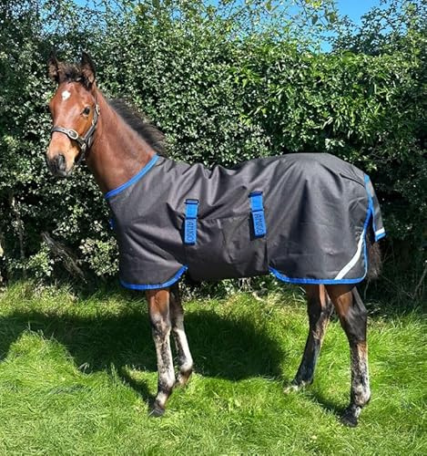 Horseware Amigo Ripstop 900D Foal Rug Turnout 200g Weidedecke Black/Classic Blue Fohlendecke, Größe:5'0