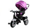 Lean Toys Dreirad PRO500 Violett Sonnendach Gummiräder