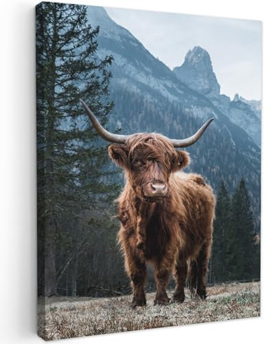 MuchoWow Leinwand Bilder, Einzigartige Wanddeko mit Rahmen, Schottischer Highlander - Tiere - Wald, Wandbilder Wohnzimmer, Deko Schlafzimmer 60x80 cm
