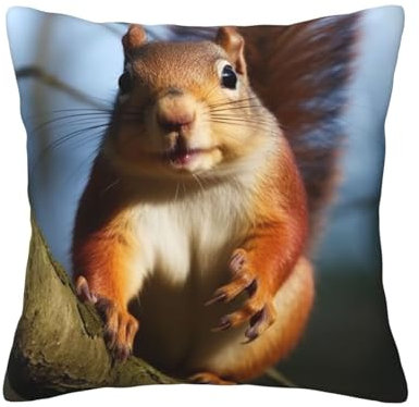 OPSREY Kissenbezug mit Eichhörnchen, lustiger Tierdruck, weich, dekorativ, für Wohnzimmer, Sofa, Couch, Bett