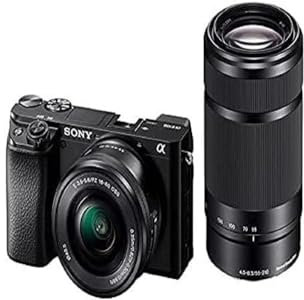 Sony Alpha 6100 | APS-C Mirrorless Camera with Sony 16-50 mm and Sony 55-210mm Zoom Lense + Portrait Creator kit including: E 50mm F1.8 OSS Lens, Memory Card and Flash