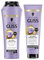 Gliss Blonde Perfector Purple Shampoo (250 ml), Blond Shampoo mit Anti-Gelbstich-Effekt & Blonde Perfector 2-in-1 Purple Aufbau Haarmaske (150 ml), Haarkur für Glanz & Pflege