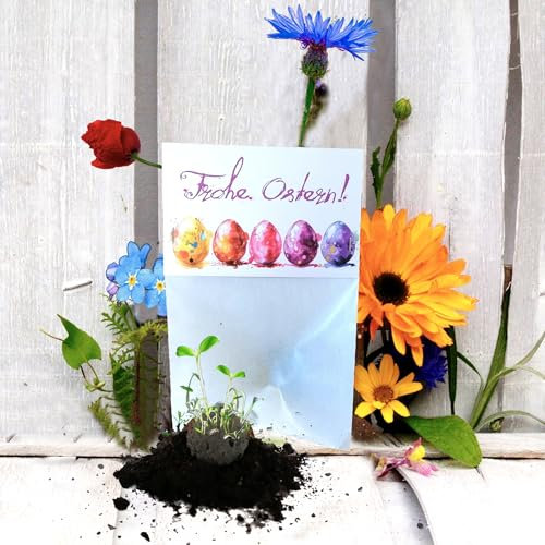 Seedball „Frohe Ostern“ Tüte (5stk.) *MadeInGermany* unterstützt von regionaler Behindertenwerkstätte - nachhaltiges Geschenk zu Ostern | Samenbomben Samenkugeln Blumenkugeln (Typ: Bienenstaatsbanket)