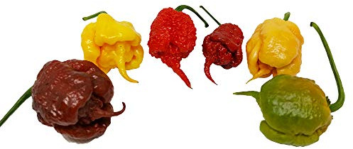 60 SEMI DI PEPERONCINO CAROLINA REAPER RED CHOCOLATE YELLOW CARAMEL MUSTARD E PEACH WORLD RECORD COME PIU' PICCANTE AL MONDO