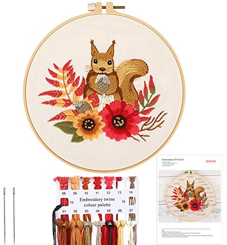 MWOOT Stickerei Starter Kit,DIY Handgemachte Kreuzstich Set, Anfänger Embroidery Cross Stitch Starter Kit für Erwachsene (Eichhörnchen)