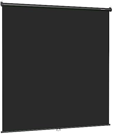 RAUBAY Retractable Pull Down Black Screen Backdrop - 78.7 x 86.6 Collapsible Wall-Mount Background for Professional Video Production, Photography, TikTok and Video Conferencing