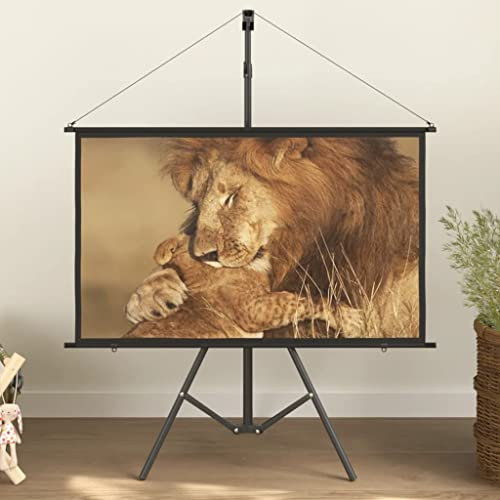 Home outdoor OthersProjection Screen with Tripod 50 16:9