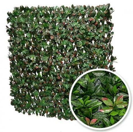 Atout Loisir Treillis Extensible Feuillage photinia, Long 28 m, Hauteur 1 m